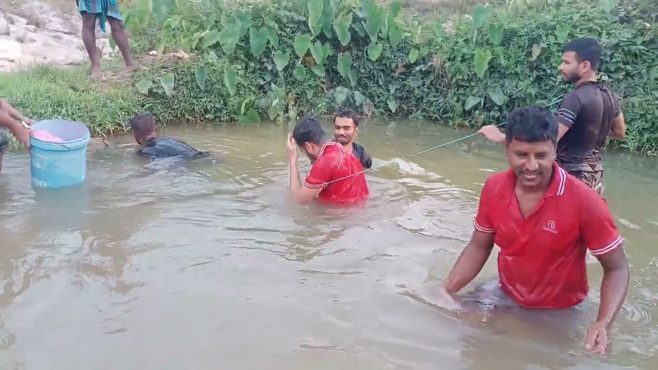 কচুবাগানের মধ্যে জাল ফেলে ডুবিয়ে ডুবিয়ে মাছ ধরে দেখেন মালয়েশিয়া বাংলাদেশী লোকজন। OMAGA 2.0 bd