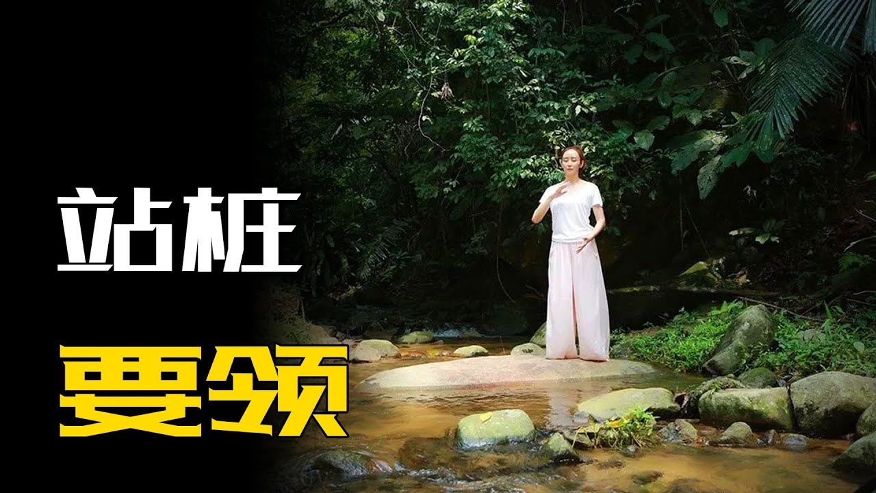 再谈站桩要领，不要观想，不要引导，不要控制呼吸，不要追求姿势
