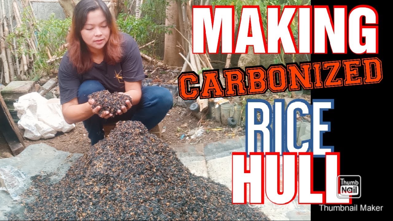 HOW TO MAKE A CARBONIZED RICE HULL(CRH)// EASY WAY AT HOME