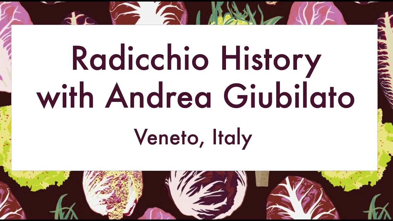 Radicchio History with Andrea Giubilato