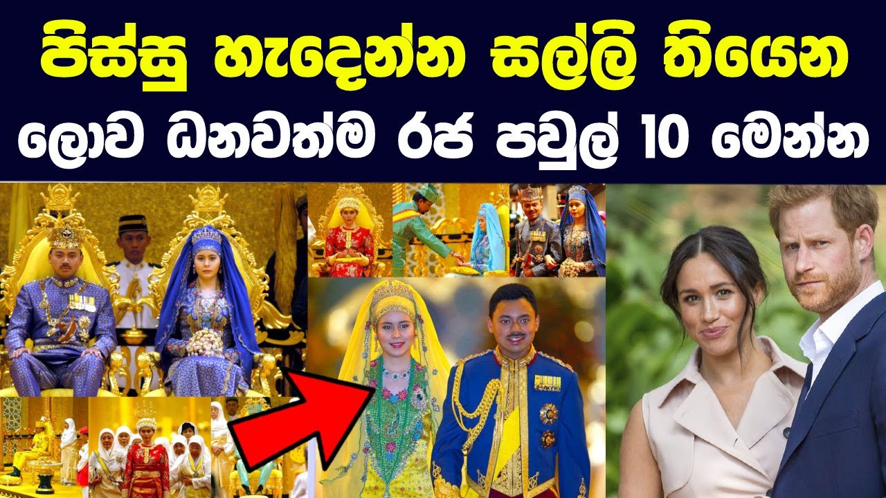 පිස්සු හැදෙන්න සල්ලි තියෙන ලොව ධනවත්ම රජ පවුල් 10 |
