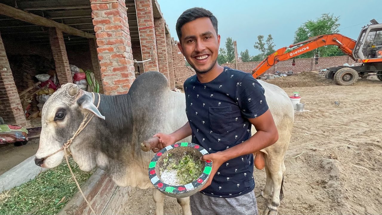 Mitho Ke Liye Masala