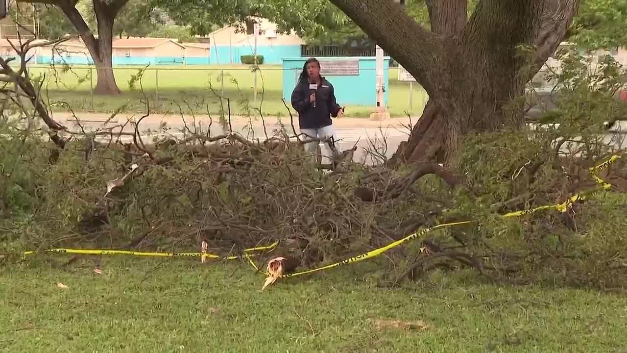 No emergency shelters open after Waianae homeless sweep, stormy conditions
