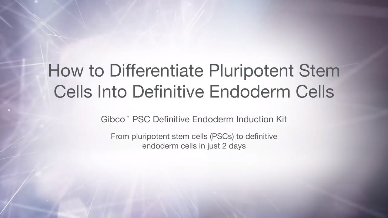 How to induce pluripotent stem cells in to definitive endoderm