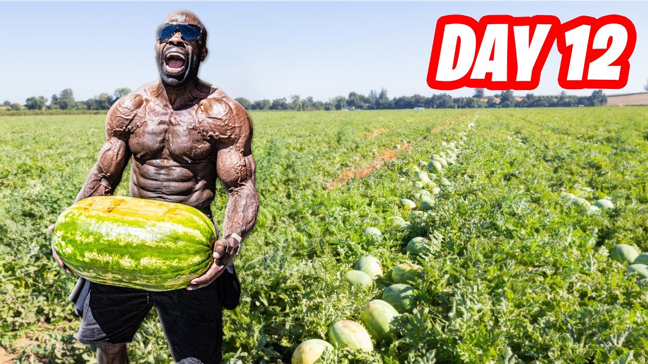 I WENT TO THE BIGGEST WATERMELON FARM AND PICKED WATERMELONS (DAY 12)