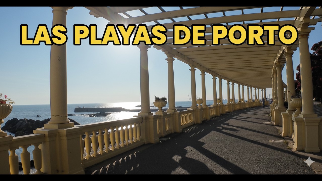 Ruta Costera por PORTO: De la Pérgola da Nevogilde al Atardecer Perfecto