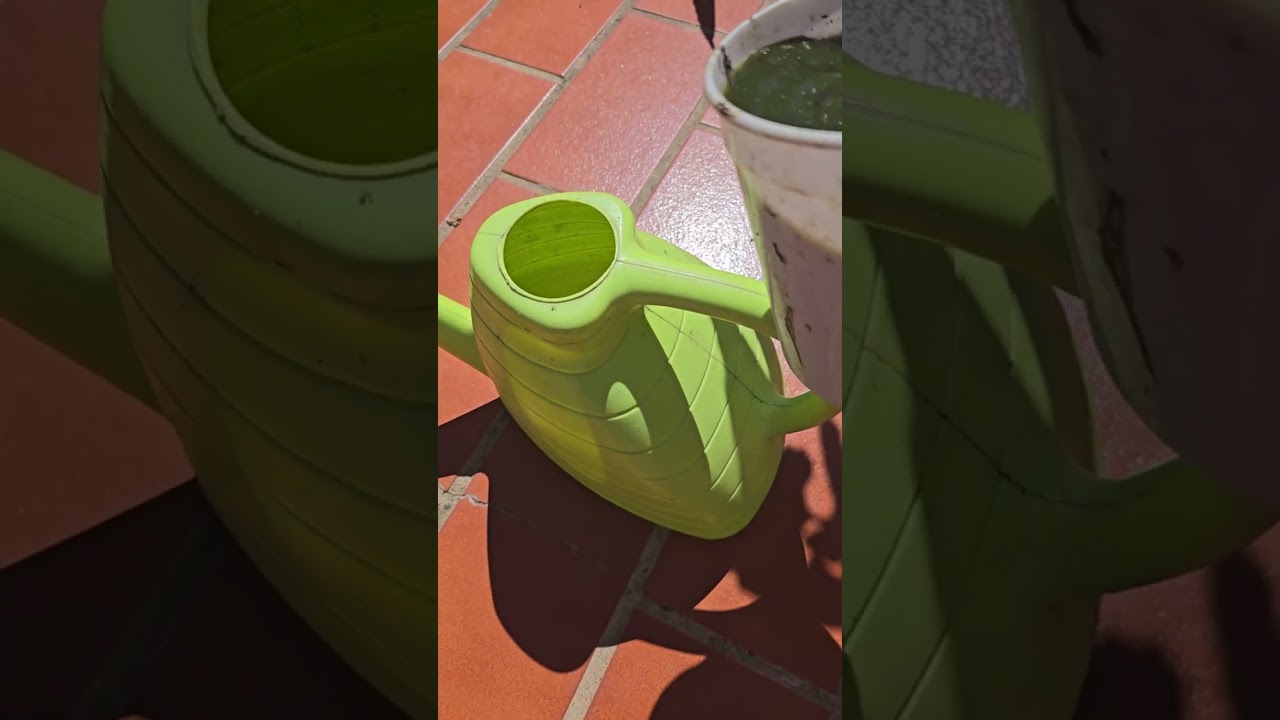 Turn Your Weeds into Unlimited Free Fertilizer