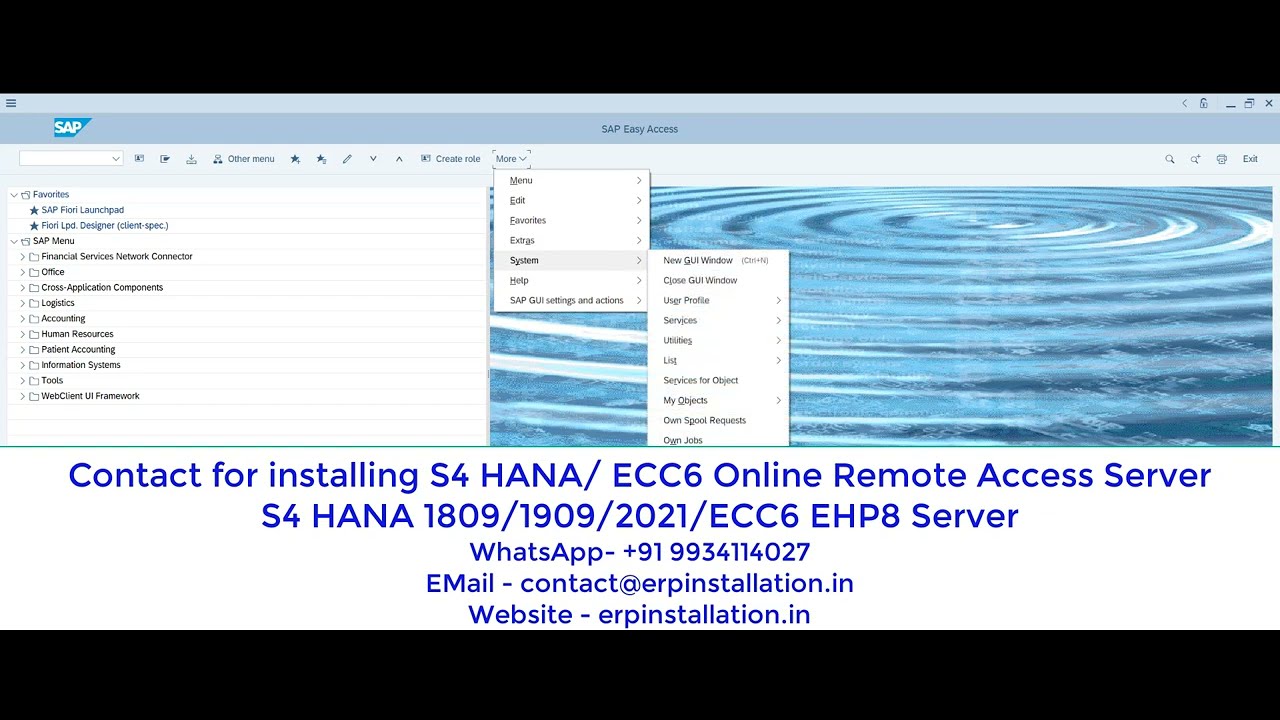Setup your  own SAP S4 HANA and SAP IDES ECC6 EHP8 Online Remote Server | WhatsApp - +919934114027