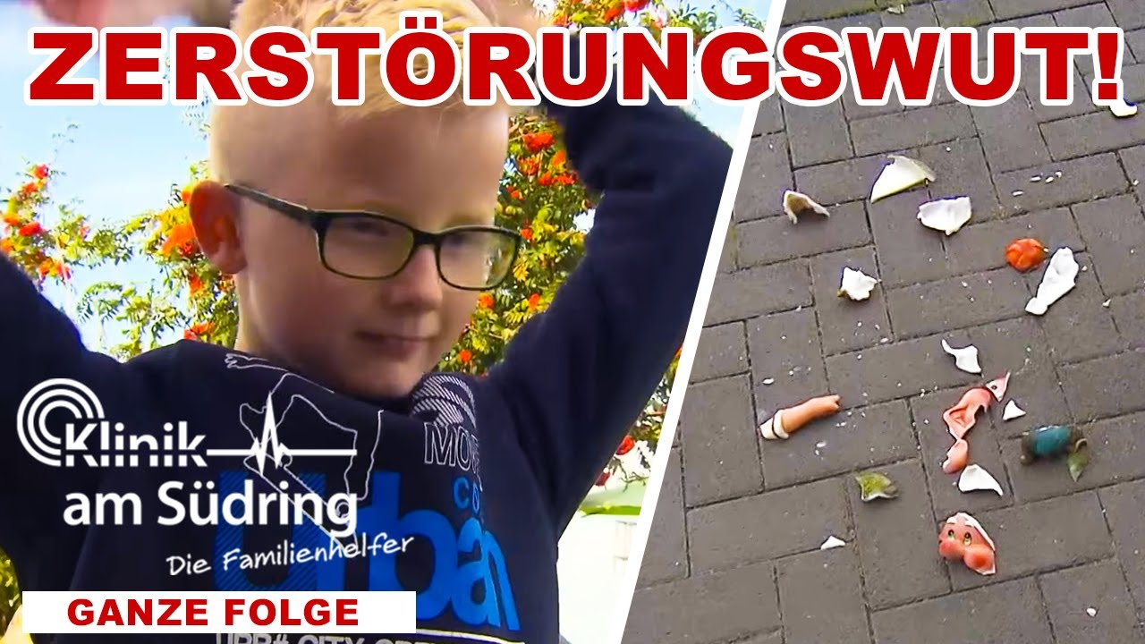 Wegen kranker Oma? - Warum ist Raffi plötzlich aggressiv & klaut? | Die Familienhelfer