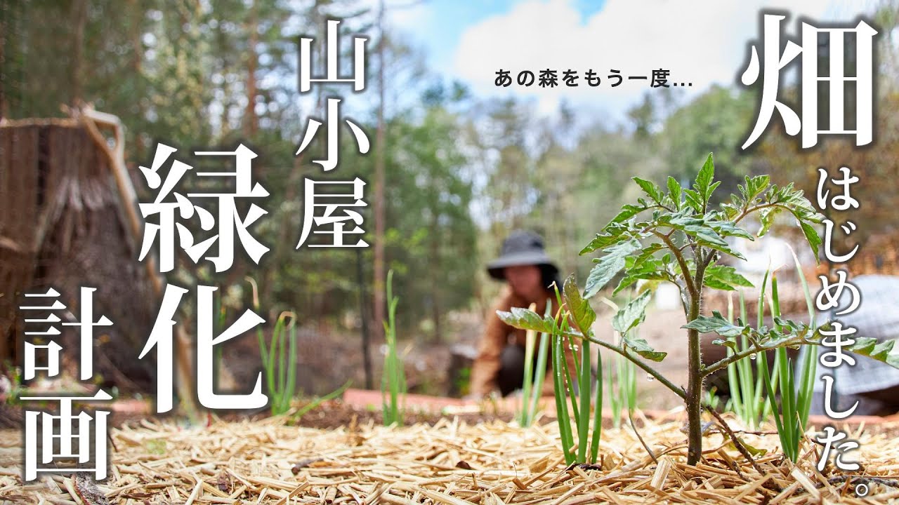 #35 山小屋に木漏れ日の森を取り戻す【そうだ、畑を作ろう】家庭菜園にチャレンジ