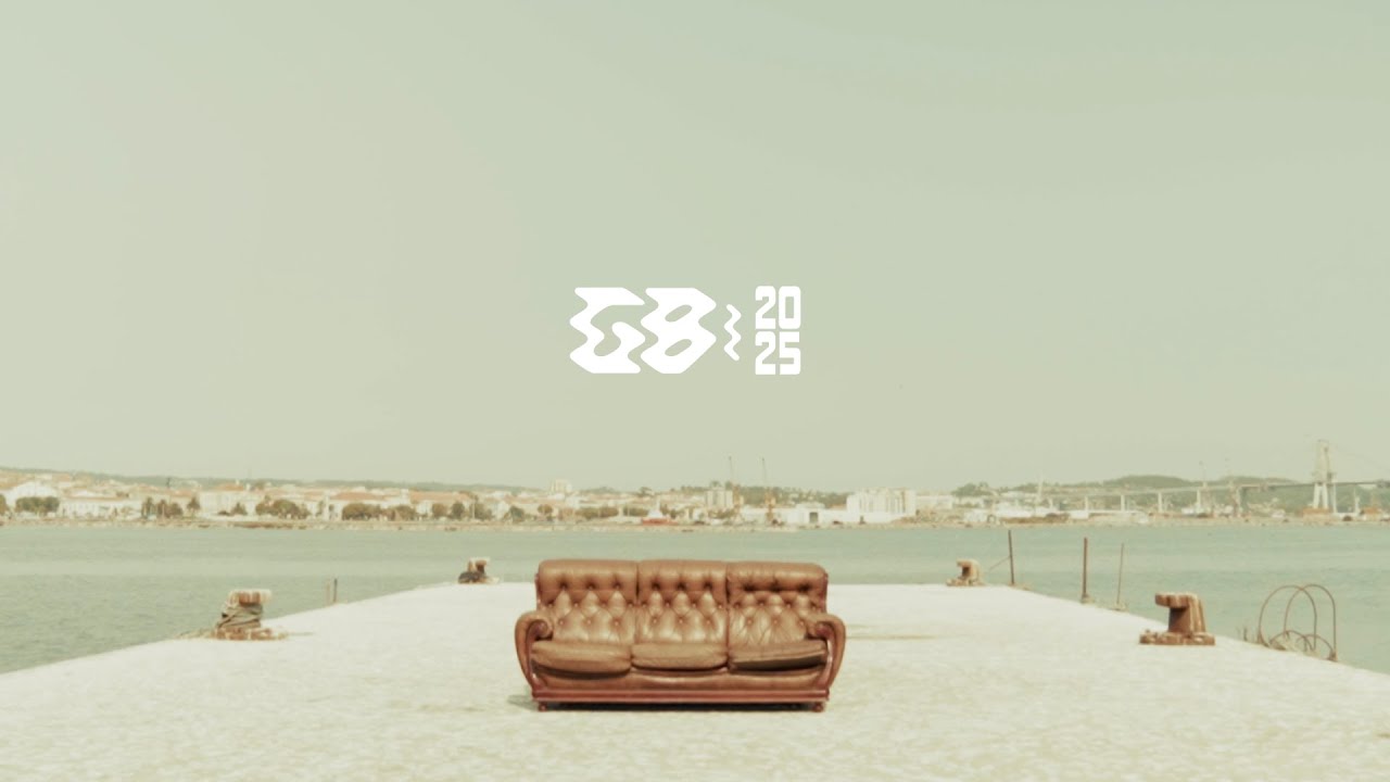 Gliding Barnacles 2025 // Magic Happens