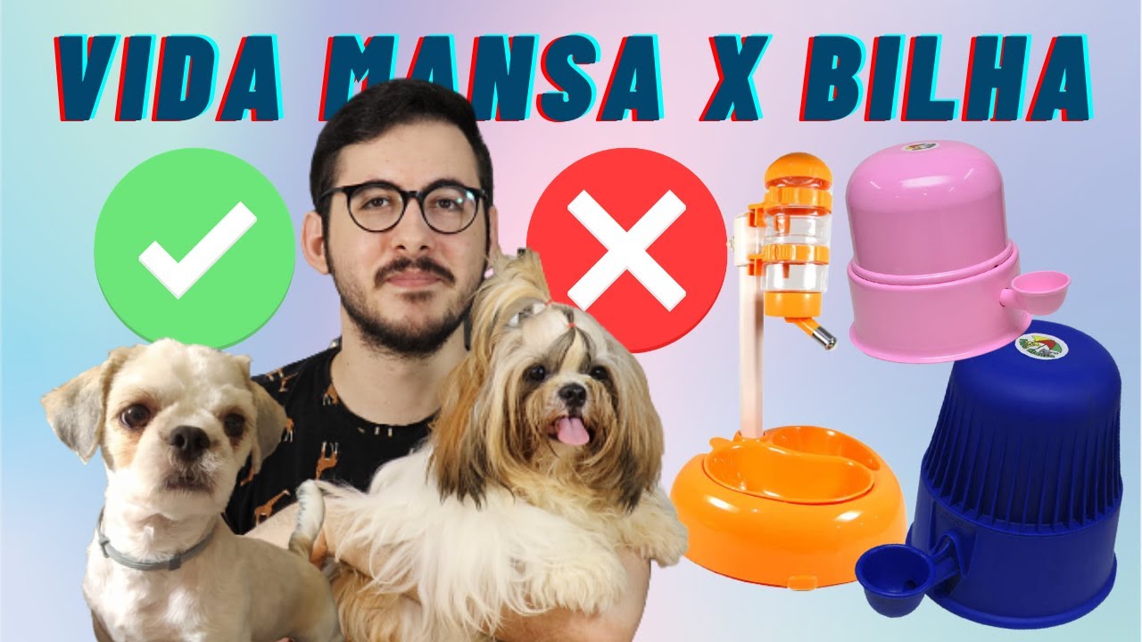 BEBEDOURO DE BILHA OU VIDA MANSA | QUAL O BEBEDOURO IDEAL PARA SHIH TZU