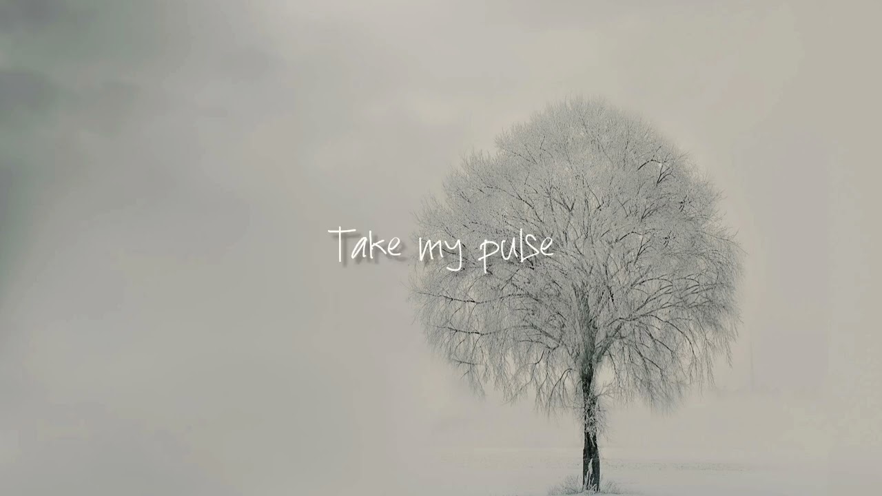 Give You My Life (Lyric Video)