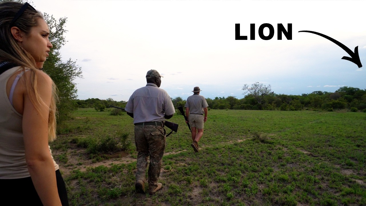Living Wild in South Africa (Kruger National Park)