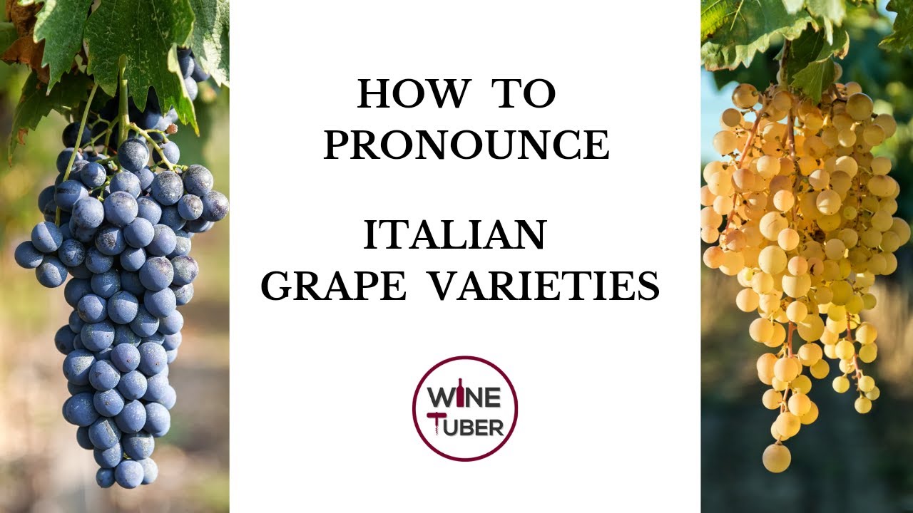 Pronouncing common Italian grape varieties. | @WineTuber