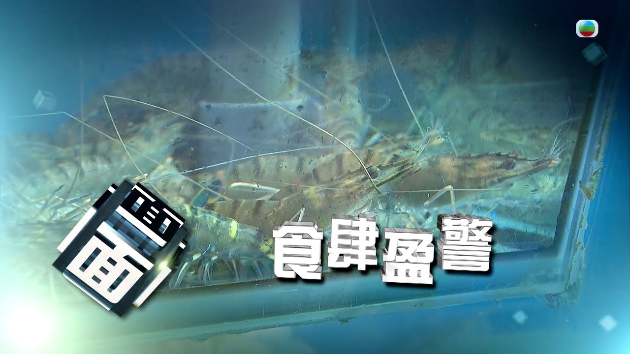 TVB時事多面睇｜食肆盈警｜2024年8月16日｜無綫新聞 ｜TVB News