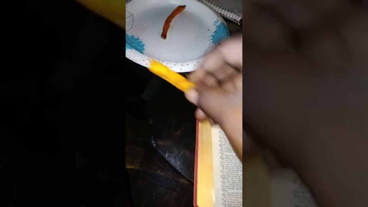 Authentic or nothing ( As I walk through the valley 💯 👌 😎 💪 😌 😉)