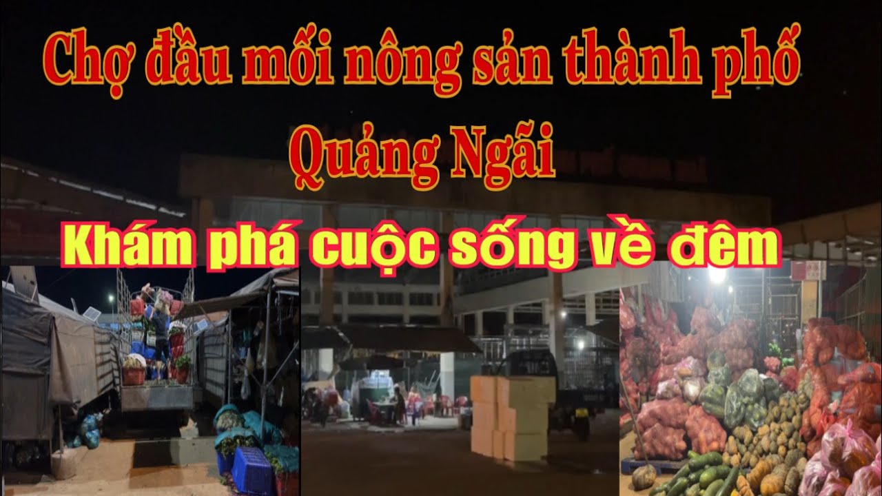 Khám phá chợ đầu mối nông sản thành phố quảng ngãi
