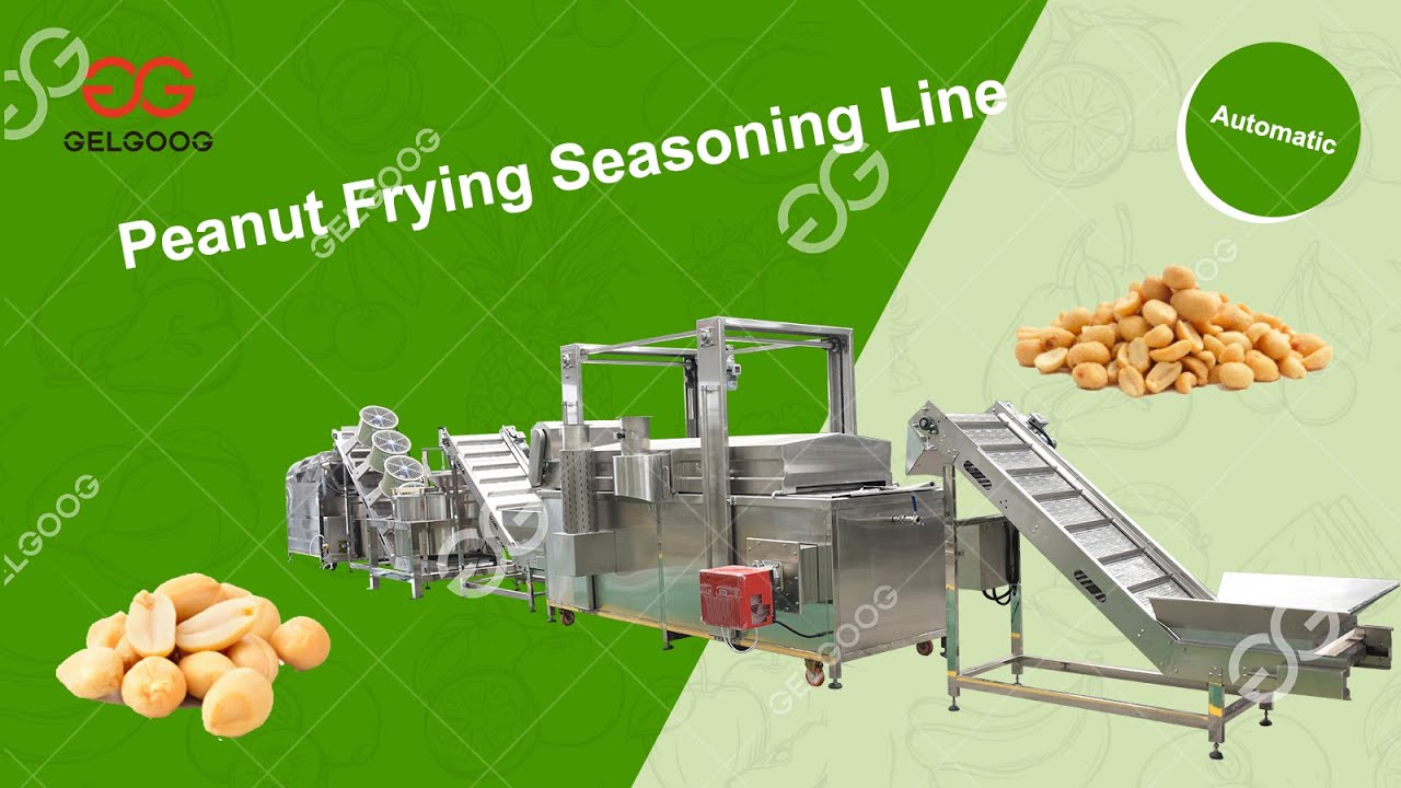 1Ton/H Peanut Groundnut Frying Deoiling Seasoning Machine In Nigeria