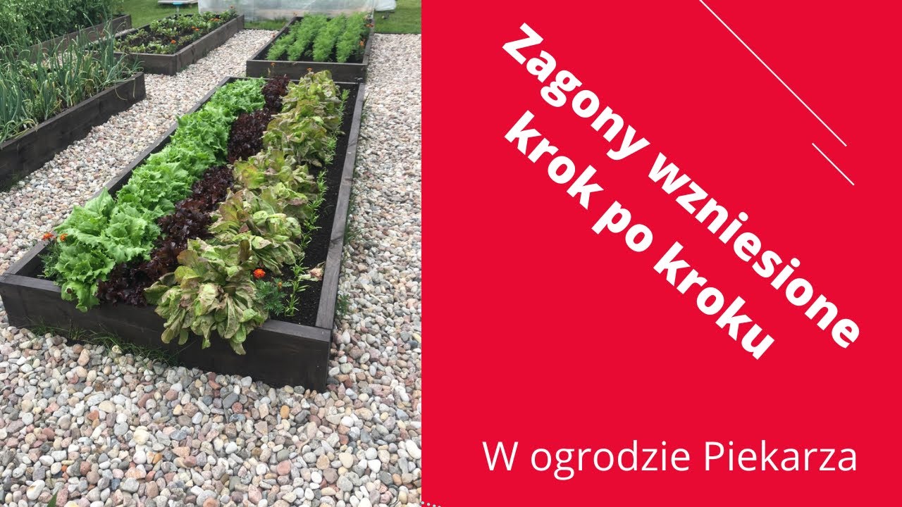 Jak zbudować Zagony Wzniesione ?   Grządki podwyższane ? Własny kompost. podłoże Bio