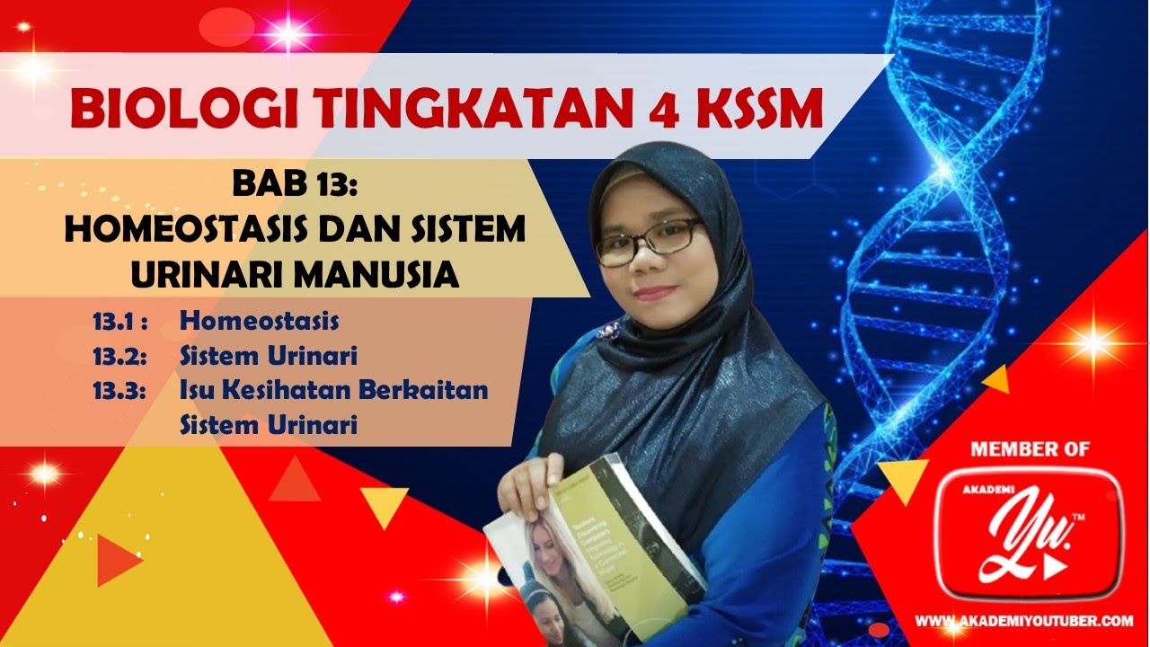 13.1, 13.2 DAN 13.3 HOMEOSTASIS DAN SISTEM URINARI MANUSIA