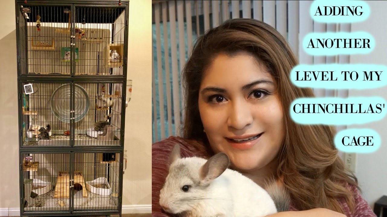 Chinchilla Cage: Upgrade to 3 Level Ferret Nation | Nenimals