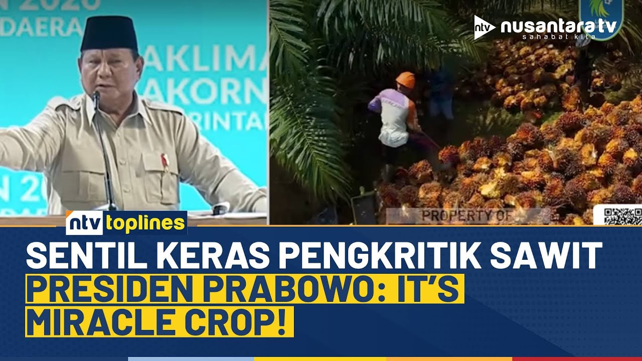 Sering Dinyinyir, Presiden Prabowo Klaim Dunia Justru Mohon-mohon RI Tetap Suplai Sawit | NTV