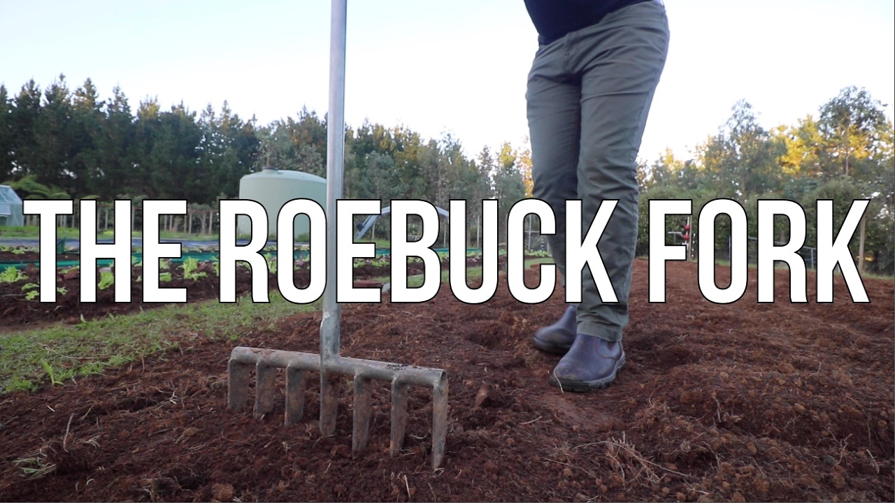 The Best Soil Working Hand Tool I've Ever Used!