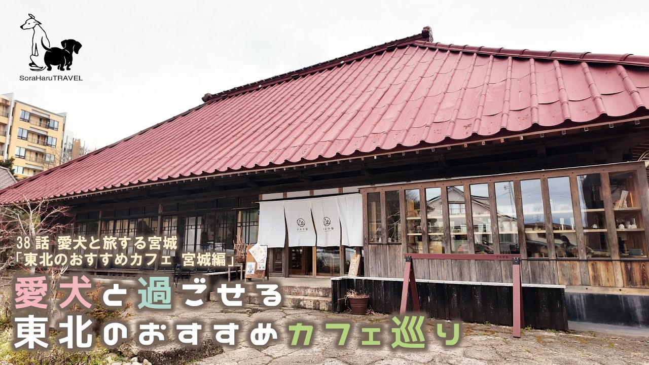 38話　愛犬と旅する宮城 「東北おすすめカフェ宮城編」