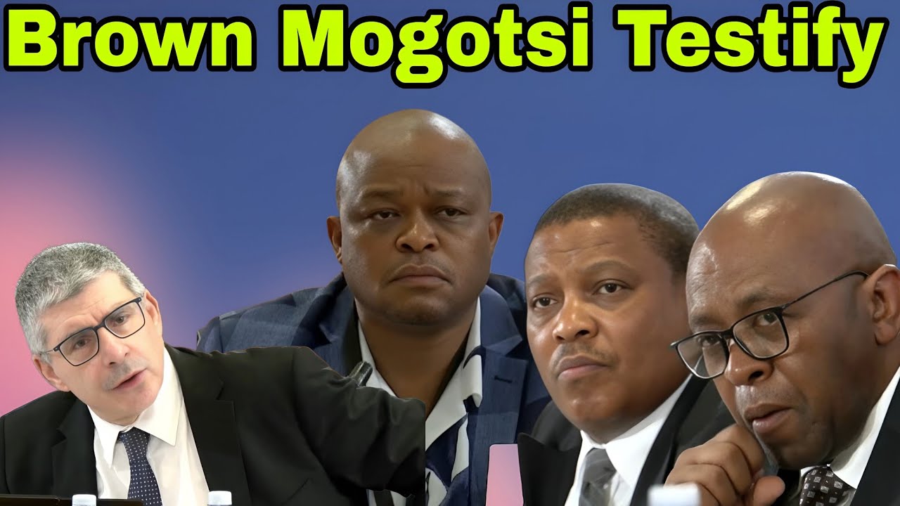 Madlanga Commission part 1 & Adhoc committee part 2. 