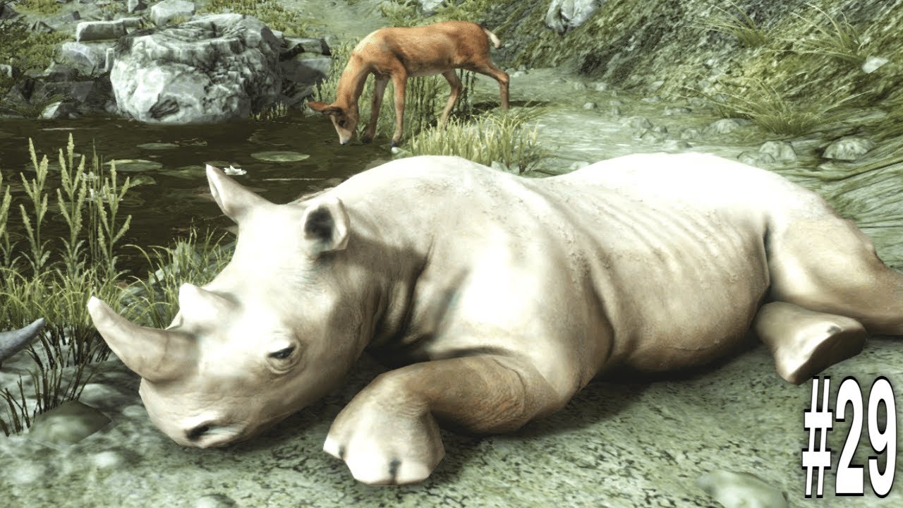 Ultimate Rhino Simulator - Wild Animals | Rhinoceros Simulator | RKM Gaming | Wild Rhinoceros | #29