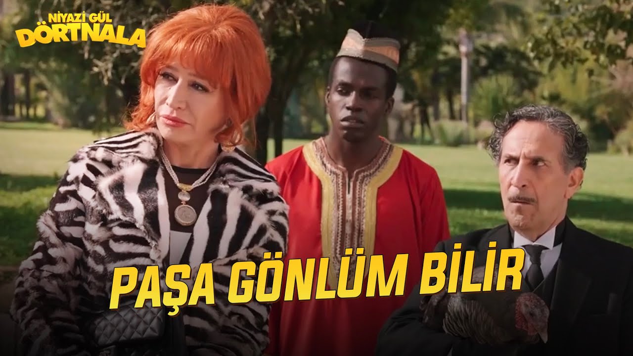 Niyazi Gül Dört Nala - Paşa Gönlüm Bilir