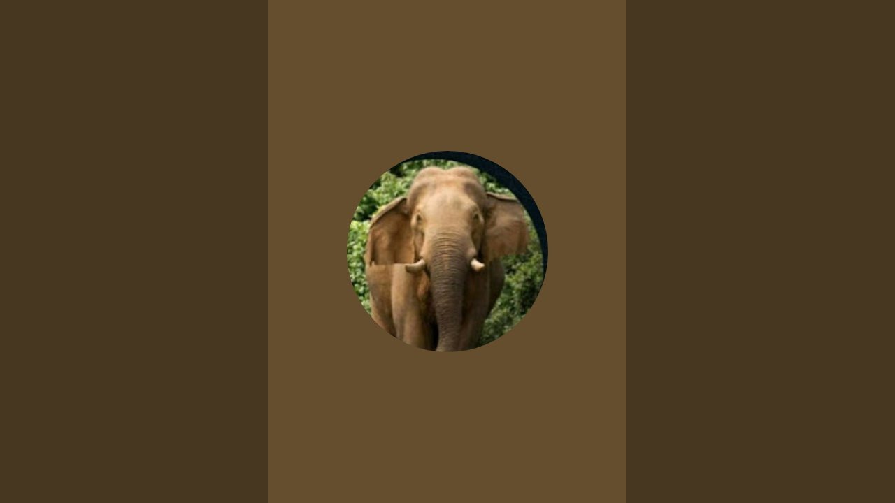 CHANDHU RUKKU  is live!