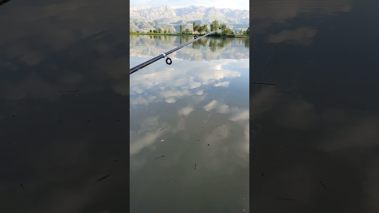 Mantarla balık tutmak 🤗#short #shorts #shortvideo #youtubeshorts #fish #tiktok #oltabalık&ccedil;ılığı#fyp