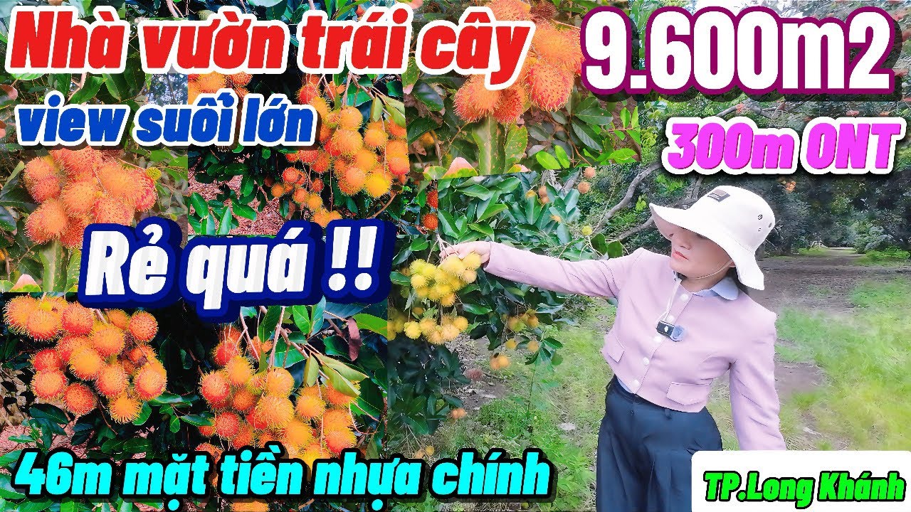 Nhà đất đồng nai,Hạ giá 1 tỷ bán gấp nhà vườn cây trái xum sêu view suối lớn cực đẹp có thổ cư