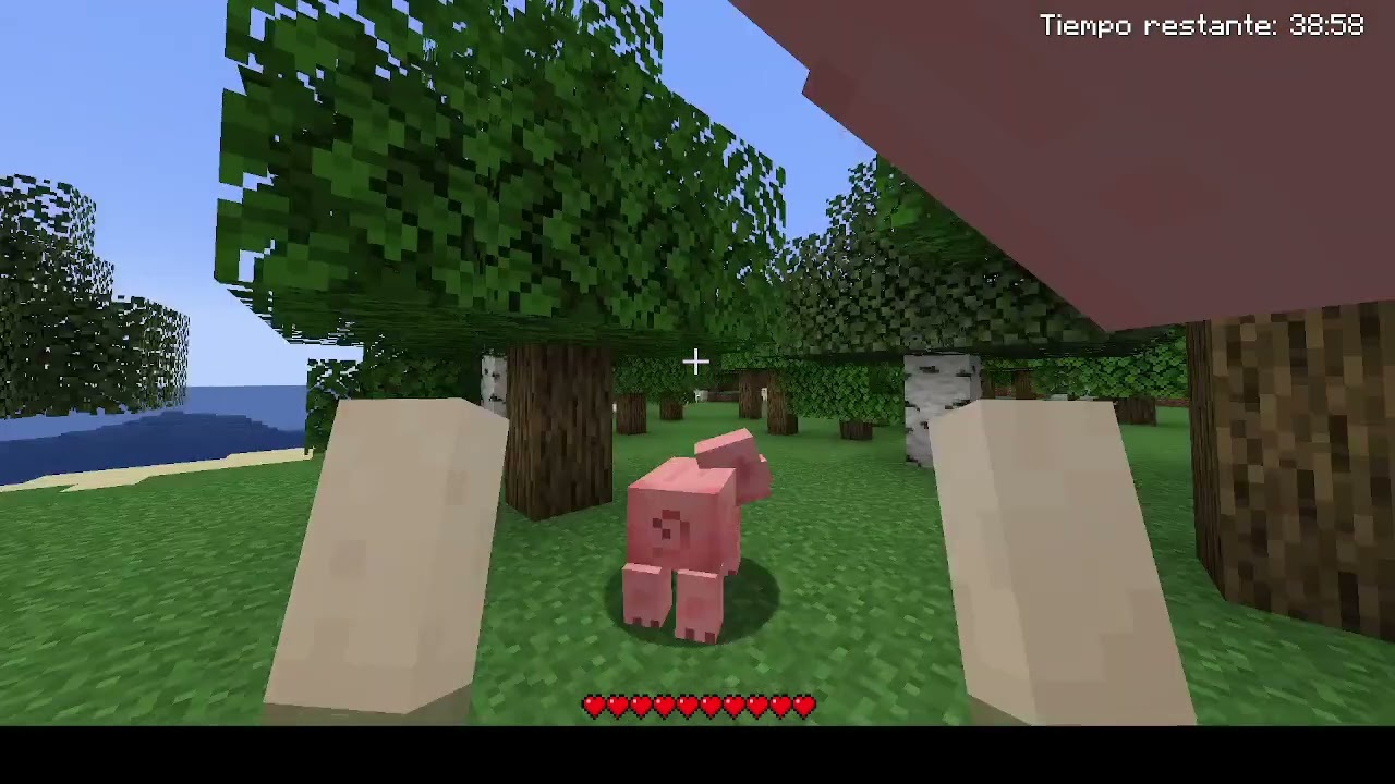 La versión mas extraña de Minecraft🐱‍💻😮