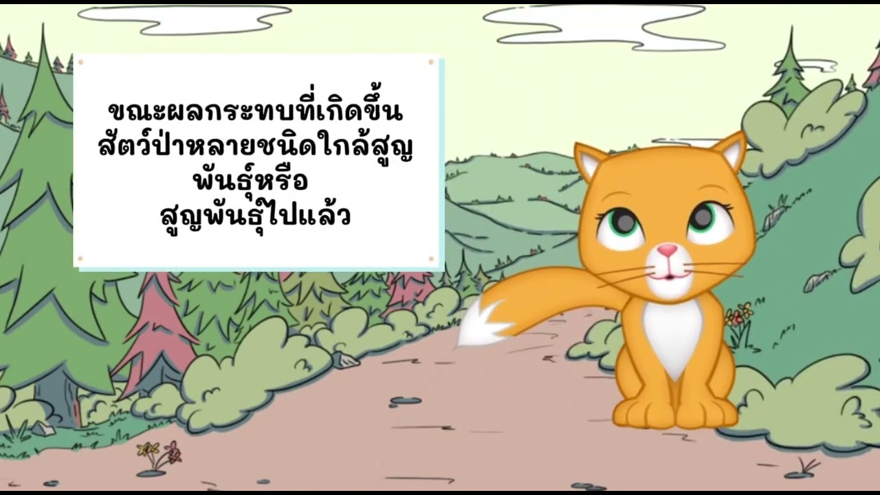 ป่าไม้และสัตว์ป่า
