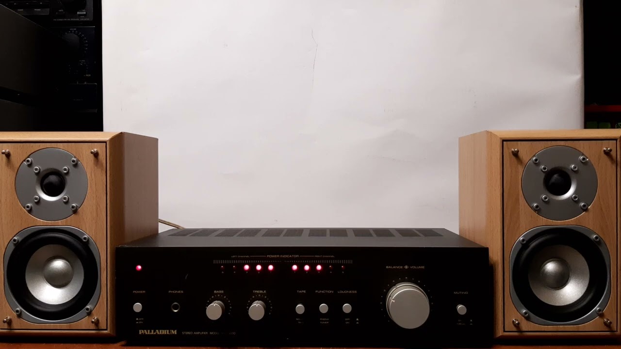 Palladium NSA 5000 NEC AUA 5000E Eltax Millennium Mini part 2