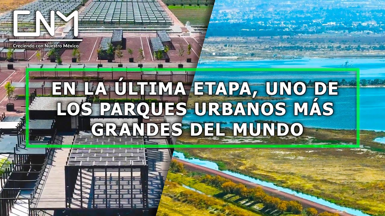 Parque Lago de Texcoco🌳 , así avanza una de las obras ecológicas más importante de México y el mundo