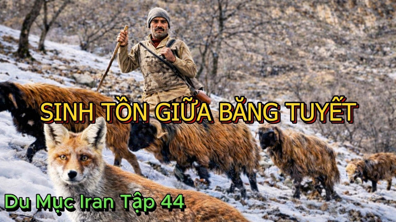 Du Mục Iran Tập 44: Cuộc Sống Sinh Tồn Giữa Băng Tuyết Khắc Nghiệt