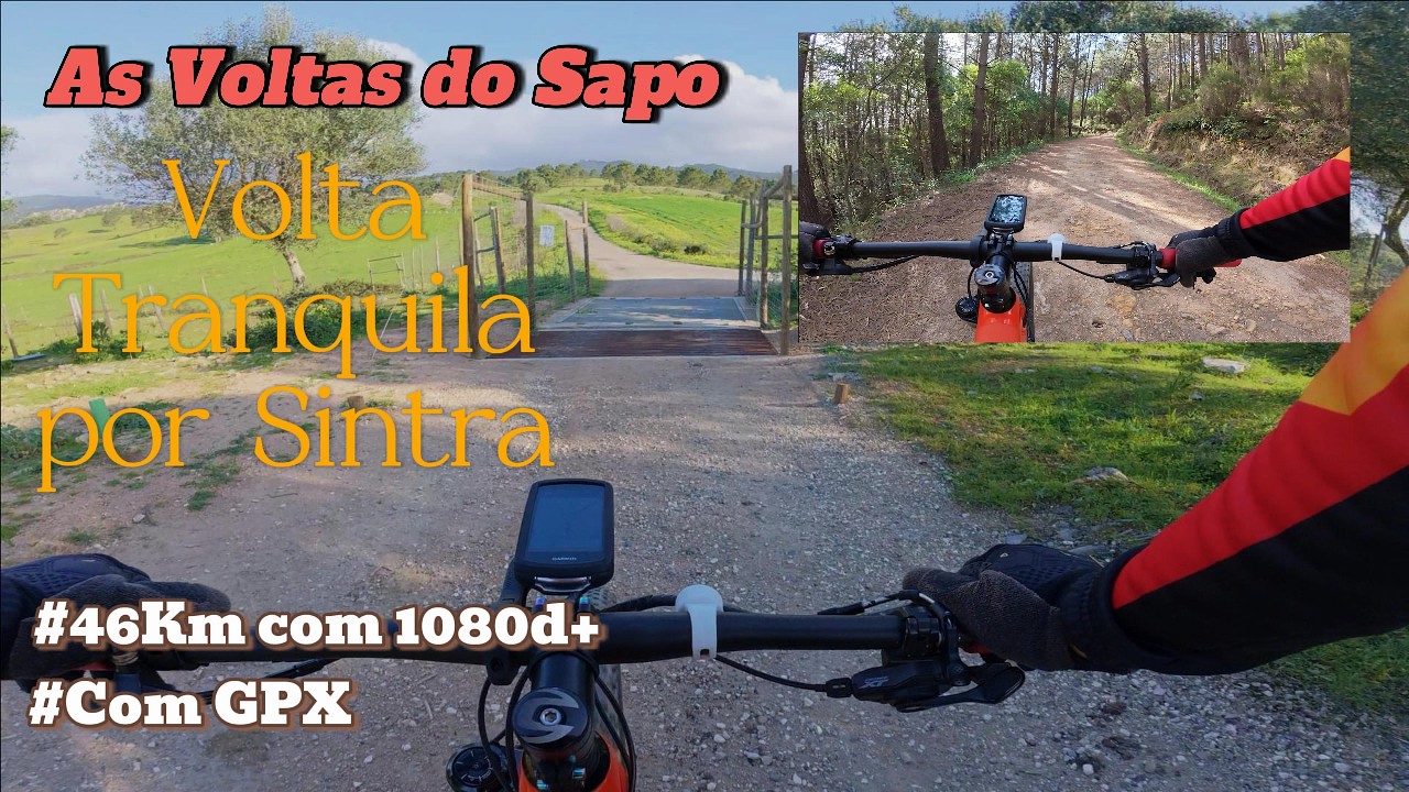 Treino com altimetria pela Serra de Sintra