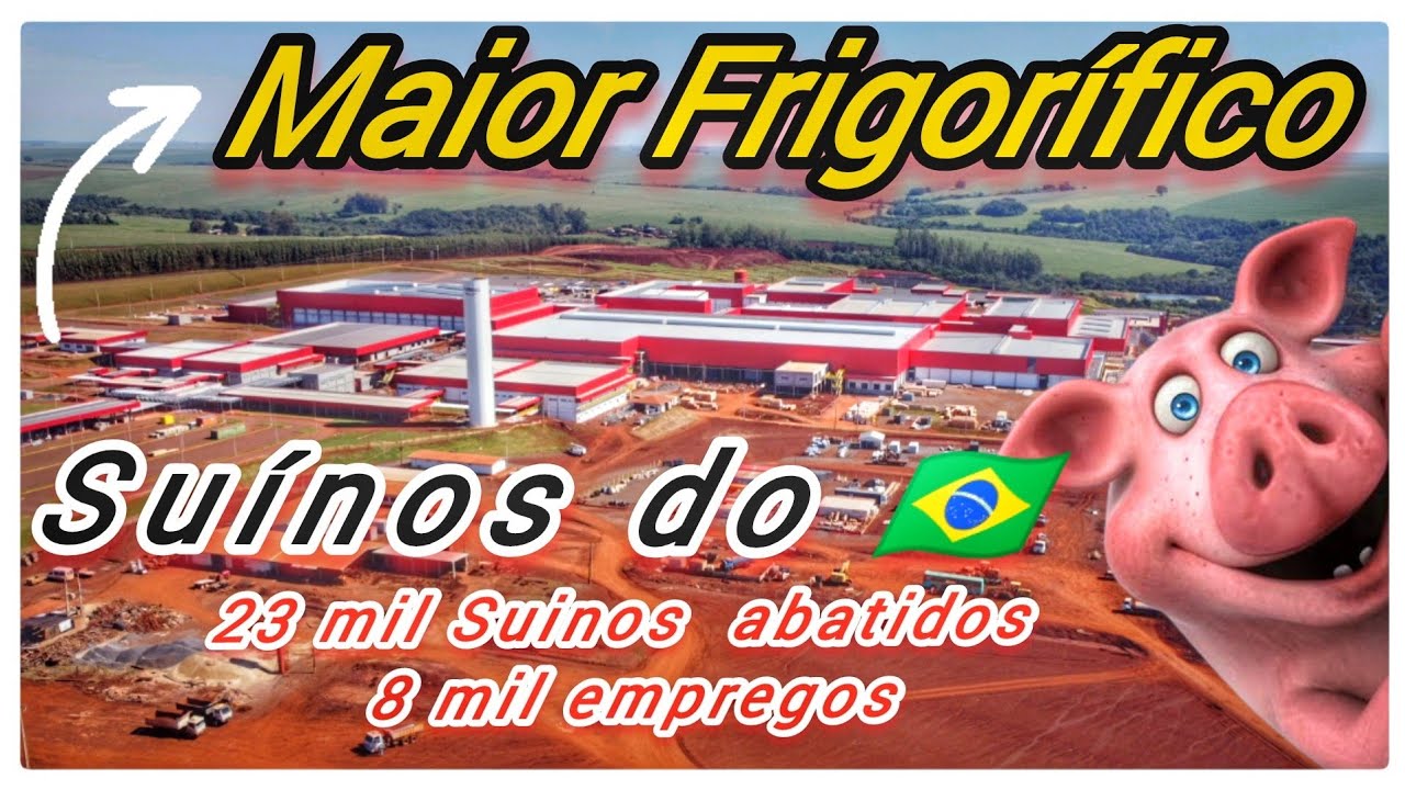 Maior Abatedouro de Suínos  do Brasil - Frimesa - Paraná