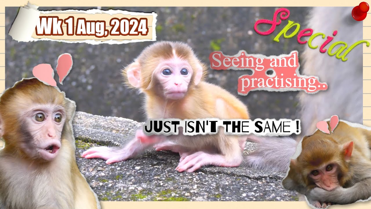 A baby refusing to be weaned: Dimpy's journey of mothering 🥺