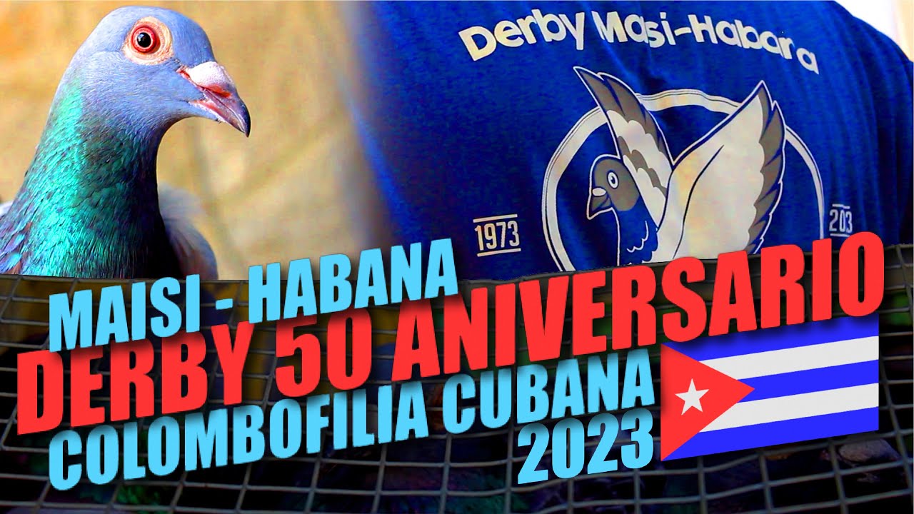 ✅ COLOMBOFILIA CUBANA: MAISI - HABANA. DERBY 50 ANIVERSARIO 👍