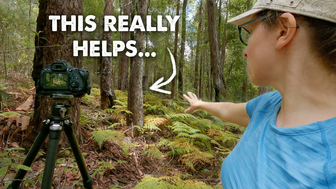Combatting the BUSYNESS of the Australian Bush