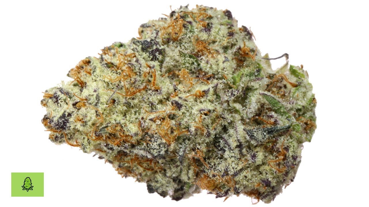 Should You Try OREOZ Strain?  - Stats, Review, Effects - (STRAIN REVIEW)