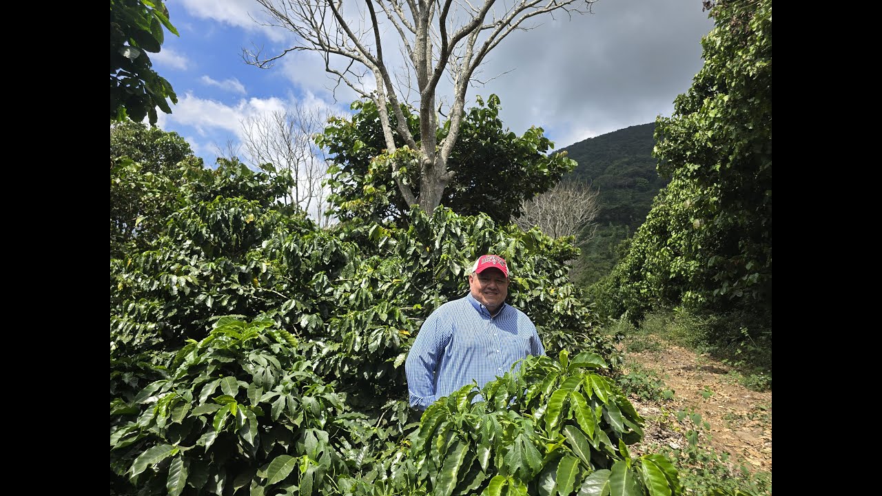 Conoce a Edwin Arévalo, productor de café de especialidad en El Salvador