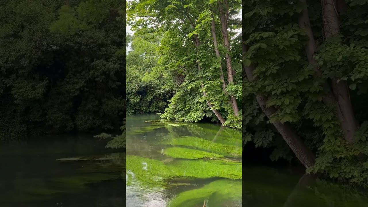 Beautiful creek I found in Ulm Germany 🇩🇪 #shorts