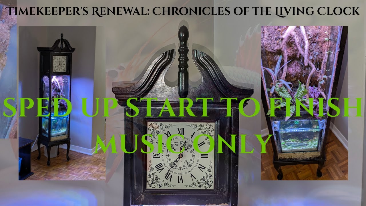 The Living Clock Start to finish Sped Up Only Video And Funky Music