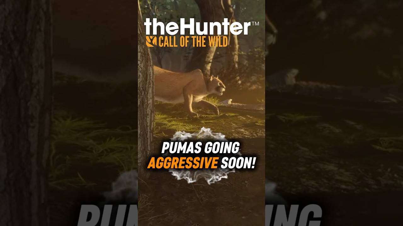 NEW Update Teaser&hellip; PUMAS Are Going Aggressive?! 😳 The Hunter: Call of the Wild #cotw #thehunter